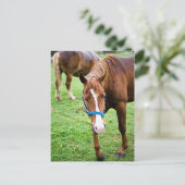 Natte kastannoot briefkaart (Staand voorkant)