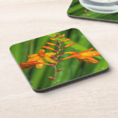 Natte oranje bloem harde plastic onderzetters (Linkerzijde)