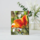 Natte Oranje en gele Tulp Briefkaart (Staand voorkant)