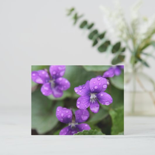 Natte Paars Violet Briefkaart (Staand voorkant)