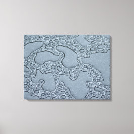 Natte plassen regen (regendruppels) canvas afdruk