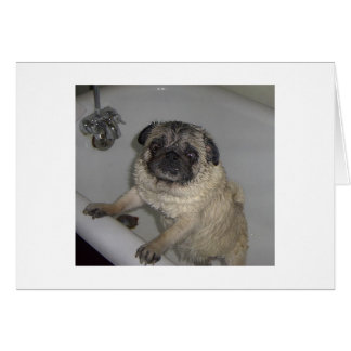 natte pot, blanco kaart