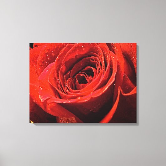 Natte rode roos decor canvas afdruk (Voorkant)