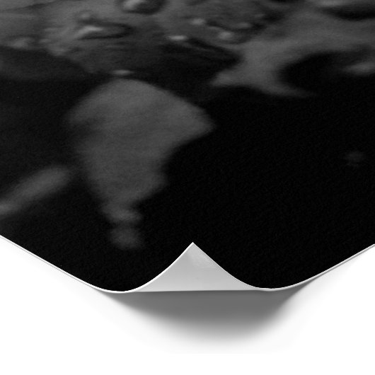 Natte Roos Poster (Hoek)