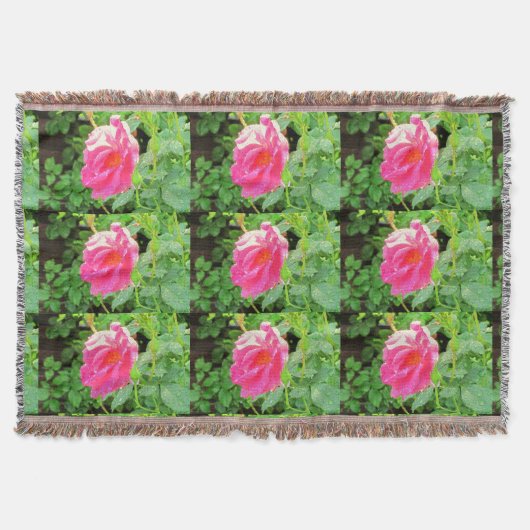 natte roze roos deken (Voorkant)