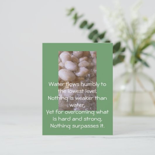 Natte stenen briefkaart (Staand voorkant)