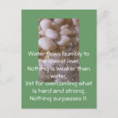 Natte stenen briefkaart (Voorkant)