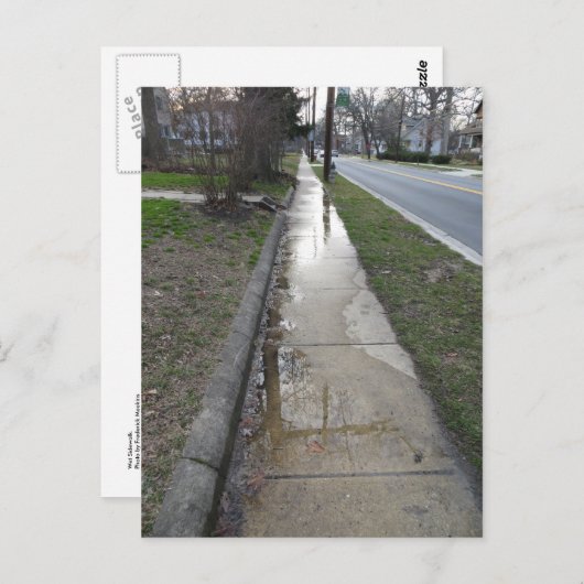 Natte stok briefkaart (Voorkant / Achterkant)