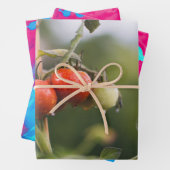 natte tomaten op wijnstokken inpakpapier vel (In situ)