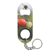 natte tomaten op wijnstokken mini flessenopener (Achterkant)