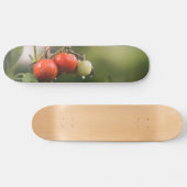 natte tomaten op wijnstokken persoonlijk skateboard (Horizontaal)