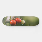 natte tomaten op wijnstokken persoonlijk skateboard (Horizontaal)