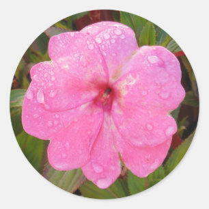 Natte ventilatorstickers ronde sticker