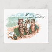 Natte verf Cats Louis Wain Briefkaart (Voorkant)
