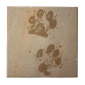 Natte verfdrukken tegeltje (Voorkant)
