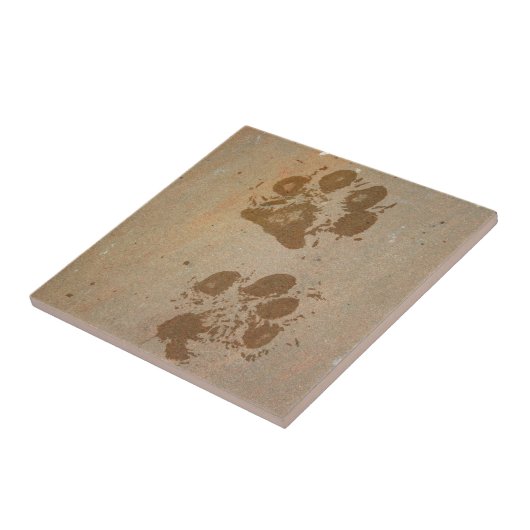 Natte verfdrukken tegeltje (Zijkant)