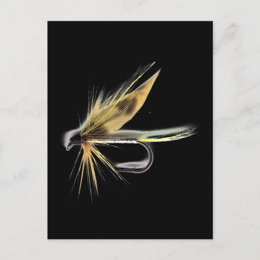 Natte vlieg briefkaart (Voorkant)