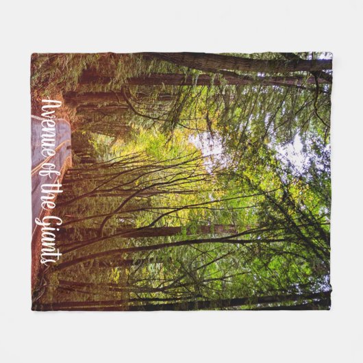 Natte weg door groene bomen in herfst Humboldt Fleece Deken (Voorkant (Horizontaal))