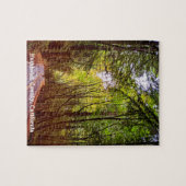 Natte weg door groene bomen in herfst Humboldt Legpuzzel (Horizontaal)