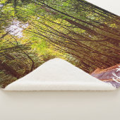 Natte weg door groene bomen in herfst Humboldt Sherpa Deken (3/4)