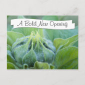 Natte zonnebloem Bud Sluiten Foto Briefkaart (Voorkant)