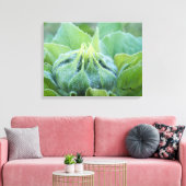 Natte zonnebloem Bud Sluiten Foto Canvas Afdruk (Insitu (Woonkamer))