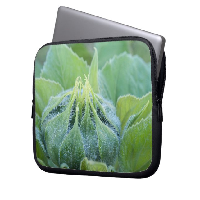 Natte zonnebloem Bud Sluiten Foto Laptop Sleeve (Voorkant Links)