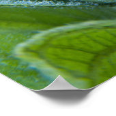Natte zonnebloemknop Close-up foto Poster (Hoek)