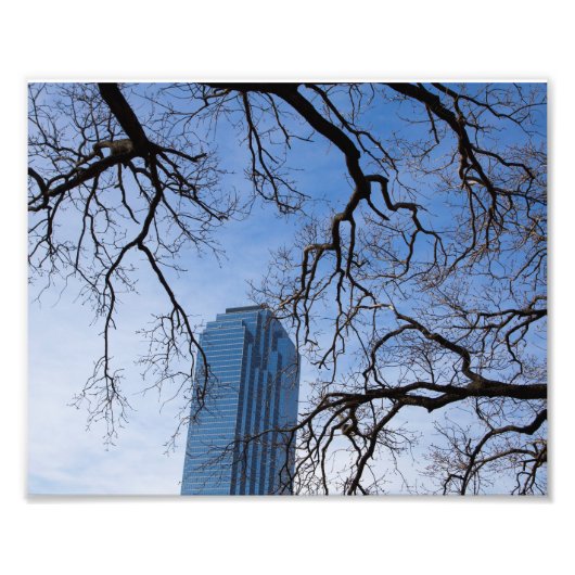 Natural and Artificial in Dallas, Texas Foto Afdruk (Voorkant)