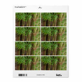 Natural Bamboo Zen Background Customized Template Etiket (Full Sheet)