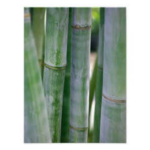 Natural Bamboo Zen Background Customized Template Foto Afdruk