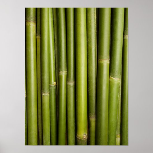 Natural Bamboo Zen Background Customized Template Poster (Voorkant)