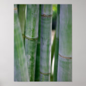 Natural Bamboo Zen Background Customized Template Poster (Voorkant)