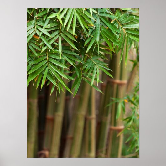 Natural Bamboo Zen Background Customized Template Poster (Voorkant)