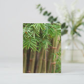 Natural Bamboo Zen Background Gepersonaliseerd Sja Briefkaart (Staand voorkant)