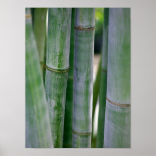 Natural Bamboo Zen Background Gepersonaliseerd Sja Poster