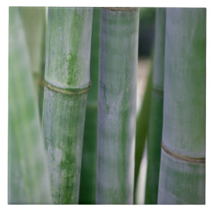 Natural Bamboo Zen Background Gepersonaliseerd Sja Tegeltje