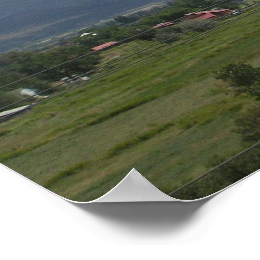 Natural Beauty Print (Hoek)