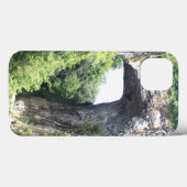 Natural Bridge iPhone hoesjes (Achterkant (horizontaal))