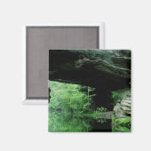 Natural Bridge, Pickett State Park, TN Magneet (Voorkant / Achterkant)