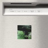 Natural Bridge, Pickett State Park, TN Magneet (Insitu (Vaatwasser))