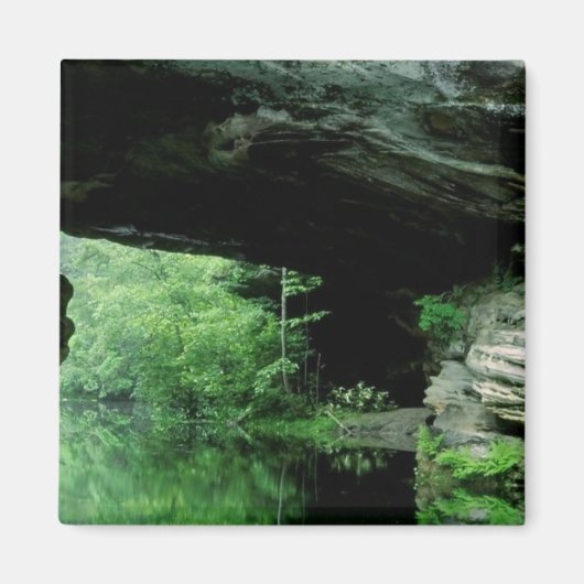 Natural Bridge, Pickett State Park, TN Magneet (Voorkant)