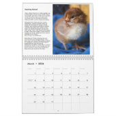 Natural Chicken Keeping 2014 Calendar + Tips Kalender (Mar 2026)