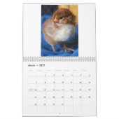 Natural Chicken Keeping 2014 Minimalist Calendar Kalender (Mar 2027)