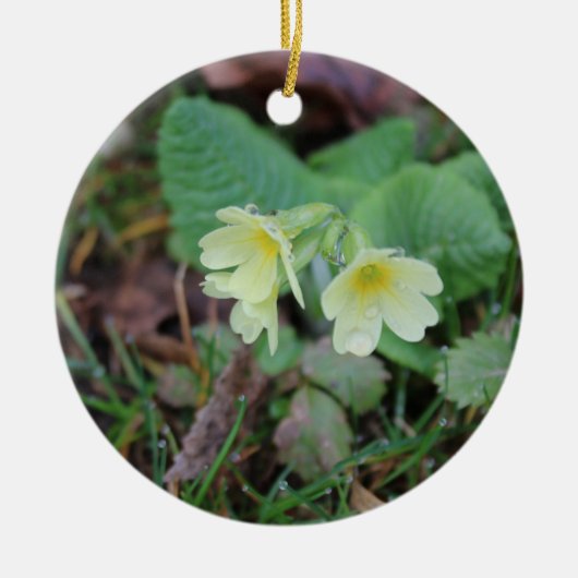 Natural Design hanger Keramisch Ornament (Voorkant)