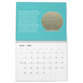 Natural Fractal Calendar Kalender (Mar 2027)