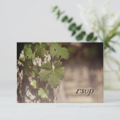Natural Grape Leaves Vineyard Wedding RSVP Kaart (Staand voorkant)