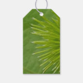 Natural Green Gift Label Cadeaulabel (Voorkant)