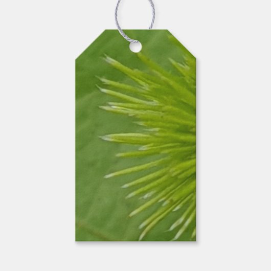 Natural Green Gift Label Cadeaulabel (Voorkant)