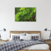Natural Green Parsley Herb Foto van de keuken Canvas Afdruk (Insitu (Slaapkamer))